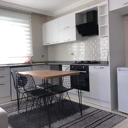 Apartment Coskunsu Homes